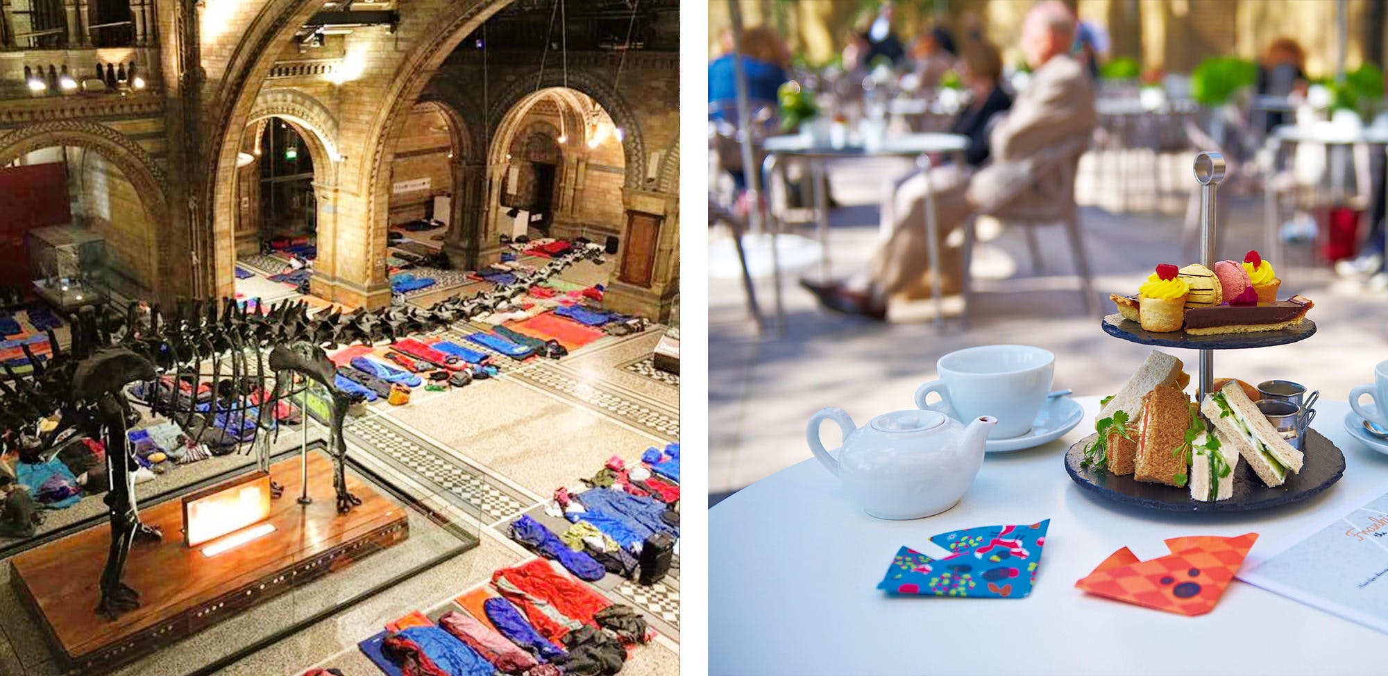 London offer one-of-kind sleep over with the dinosaurs at the Natural History Museum’s Dino Snores